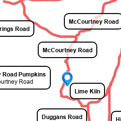 McCourtney Road Pumpkins