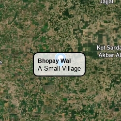 Bhopay Wal