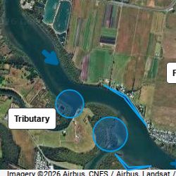 Maroochy River
