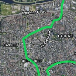 Multiculturele Carnavalsoptocht Tilburg