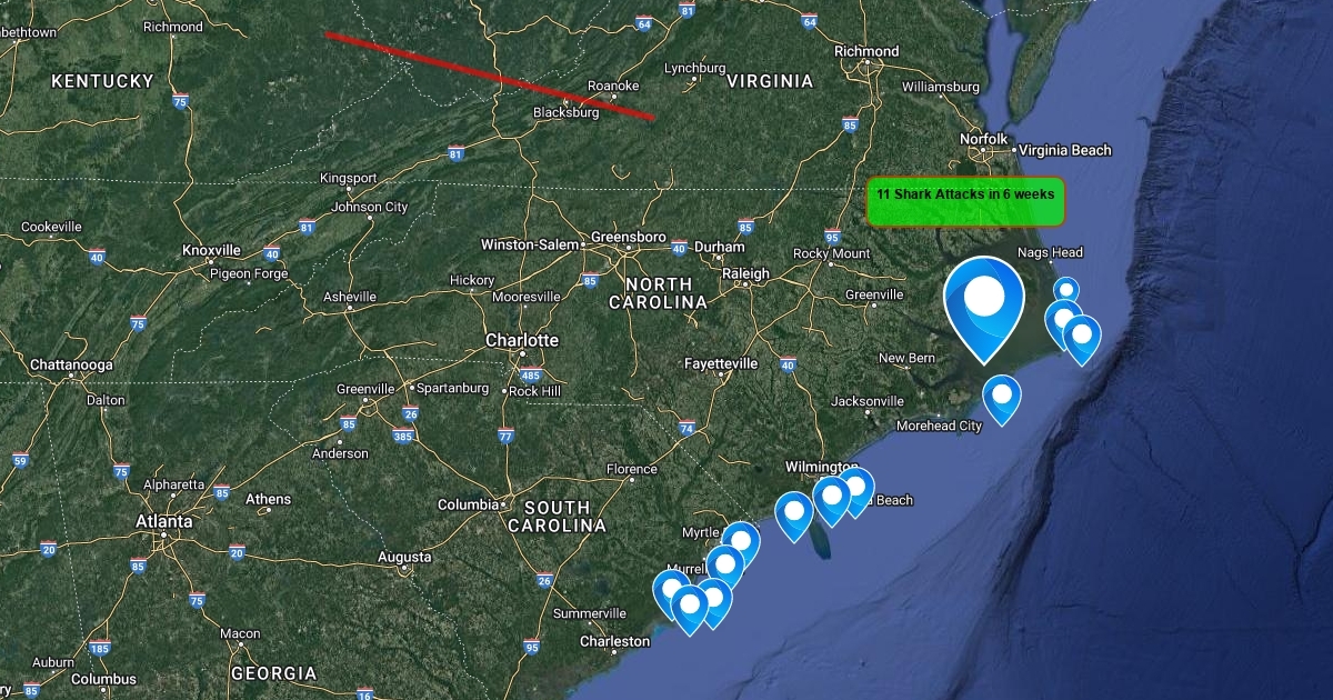 Shark Attacks : Scribble Maps