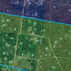 Showground Area