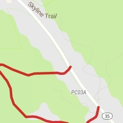 Purisima Creek Redwoods:Redwood Trail