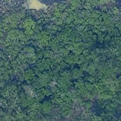 Mounds VIew MN (copy)