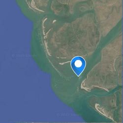 Ответ Никулина