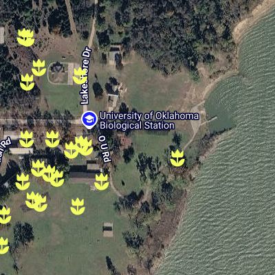 Edible Texoma Map
