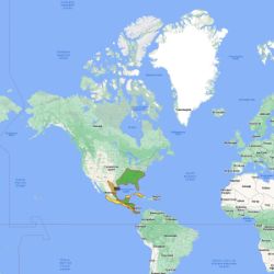 Природни зони на С. Америка