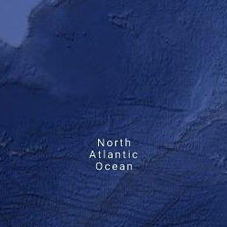 Top Public Adjuster Services