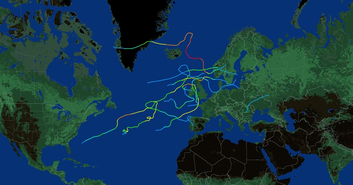 Windstorm Season 202223 Scribble Maps