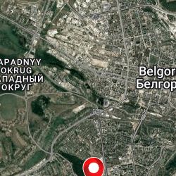 Собаки в Белгороде