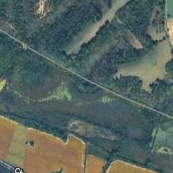 BIOL203_CourseProjSites