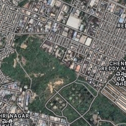 Business World Transactions