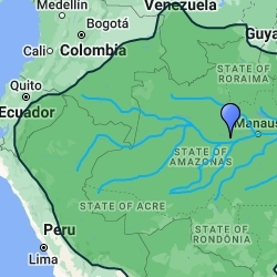 The Amazon Rainforest