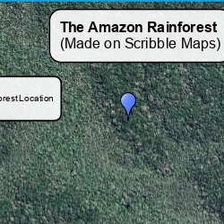 Amazon Rainforest 