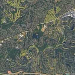 Ballantyne Yard Cards