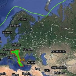 there are no results on google