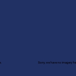 St. Cloud Tree Services