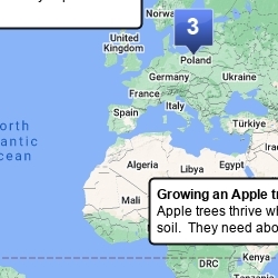Apple Tree Map