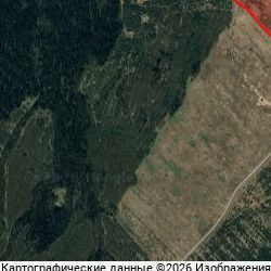 Лесная братва