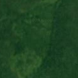 CBD Shop Vapor Spirit CBD kaufen CBD Öl CBD Blüten