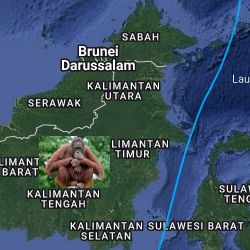 persebaran hewan di indonesia